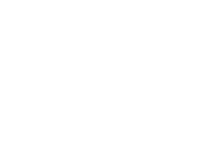 VITTORIA logo